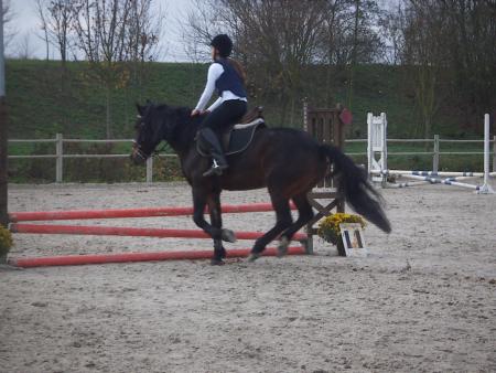 Les concours !!